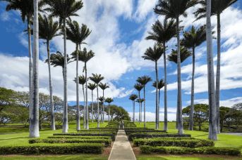 The Westin Hapuna Beach Resort (Ex - Hapuna Beach Prince )