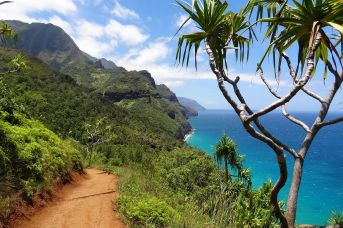 W rytmie Aloha - Rejs po Hawajach