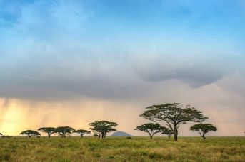 Tanzania: Wielkie Safari I Zanzibar