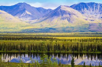 Przystanek Alaska