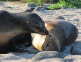 Ekwador dla koneserów /+ Rejs na Wyspy Galapagos/