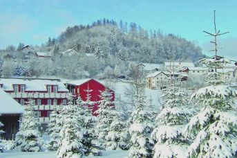Familienhotel Reiterhof
