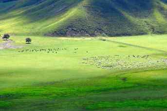 Chiny Północne (Mongolia Wewnętrzna - Mandżuria)