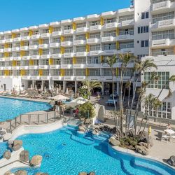 Abora Catarina ex Ifa Catarina