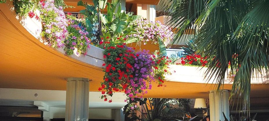 Acacia Resort