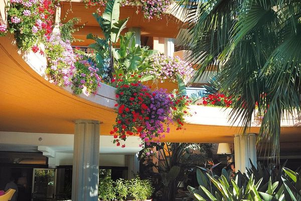Acacia Resort