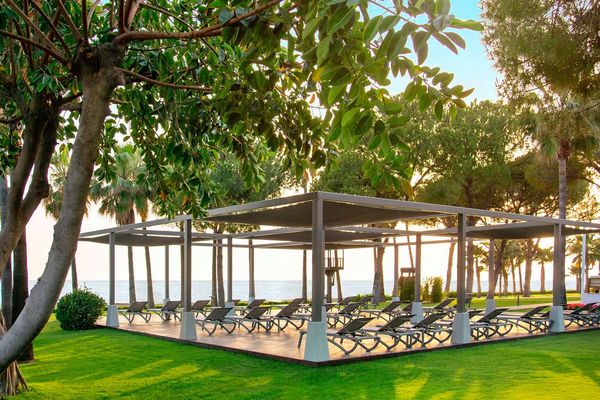 Acanthus & Cennet Barut Collection