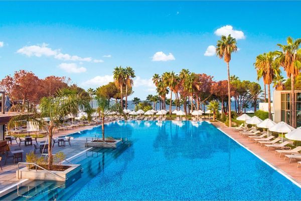 Acanthus & Cennet Barut Collection