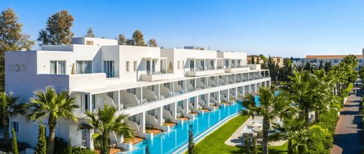 Aliathon Aegean (ex. Holiday Village)