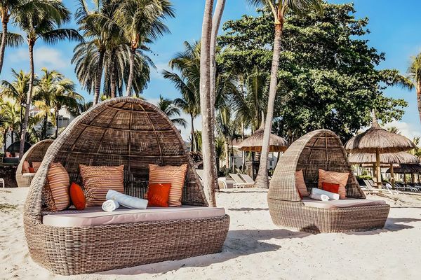 Ambre Mauritius