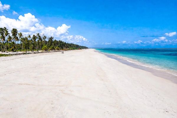 Anaya (Zanzibar)