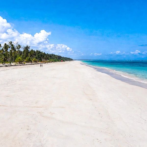 Anaya Zanzibar – 2026-12-06 - Zdjęcie 3