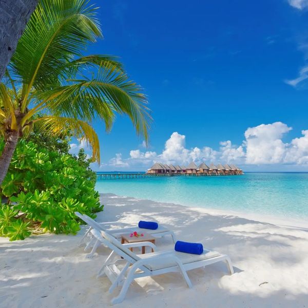 Angaga Island Resort & Spa – 2026-06-14 - Zdjęcie 3