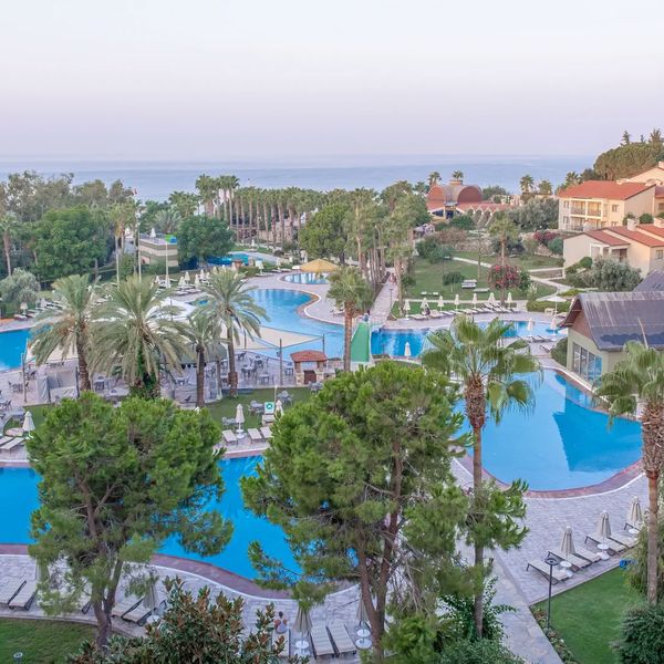 Arum Barut