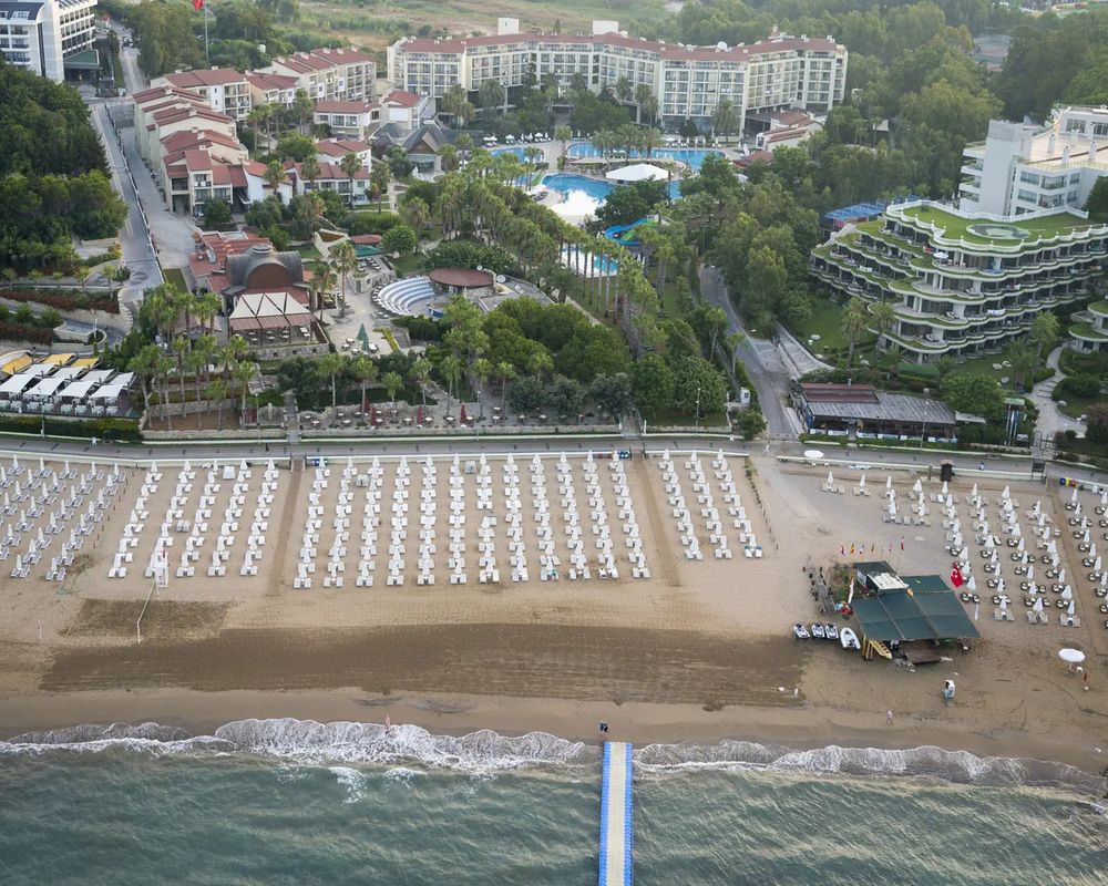 Arum Barut