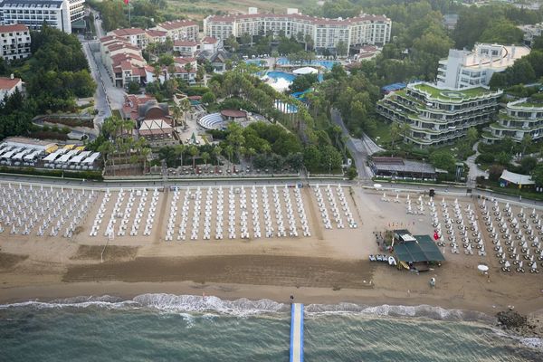 Arum Barut