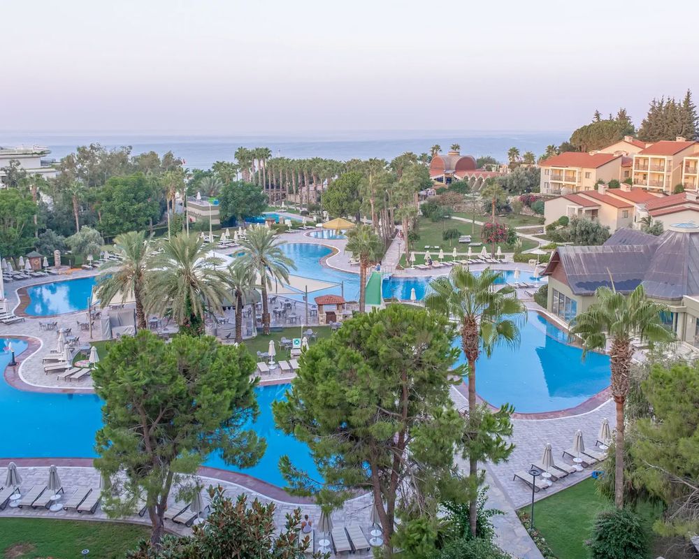 Arum Barut