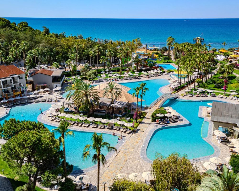 Arum Barut