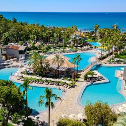 Arum Barut