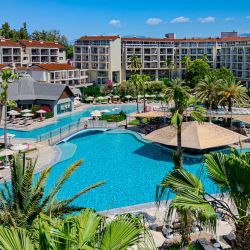 Arum Barut