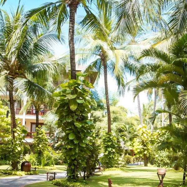 Bamboo Village Beach – 2026-02-01 - Zdjęcie 2