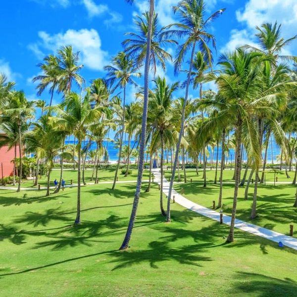 Barcelo Bavaro Beach – 2026-09-24 - Zdjęcie 3