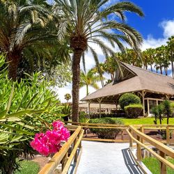 Barcelo Margaritas Royal Level