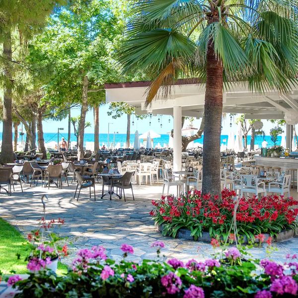 Barut Hemera