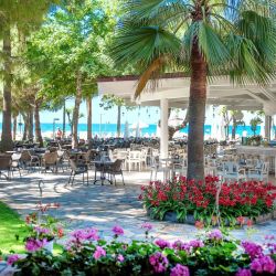 Barut Hemera