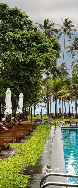 Be Live Experience Orotava