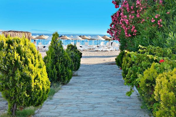 Bendis Beach