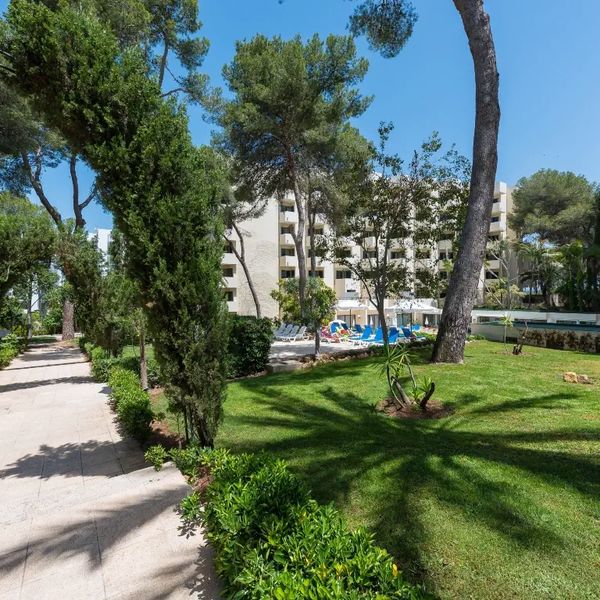 Best Delta (ex. Vita Delta)