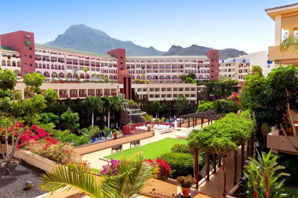 Best Jacaranda