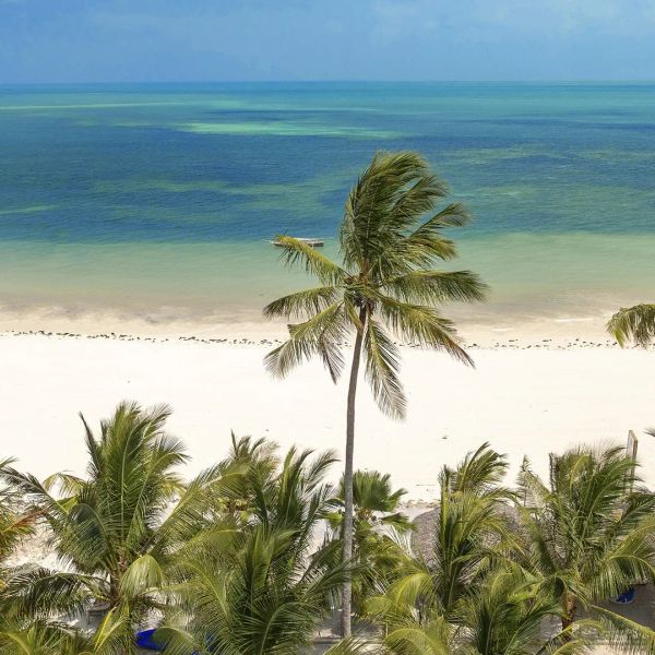 Blackstone Beach Resort – 2026-08-24 - Zdjęcie 3