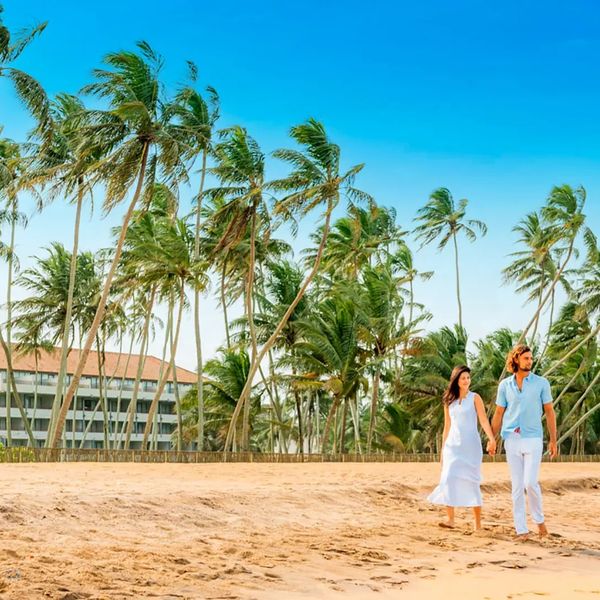 Water Wadduwa – 2026-05-31 - Zdjęcie 2