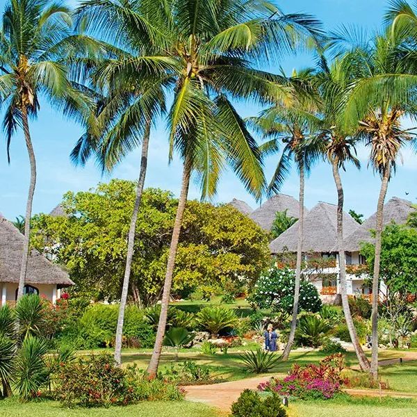 Bluebay Beach Resort & Spa — Kiwengwa, Tanzania