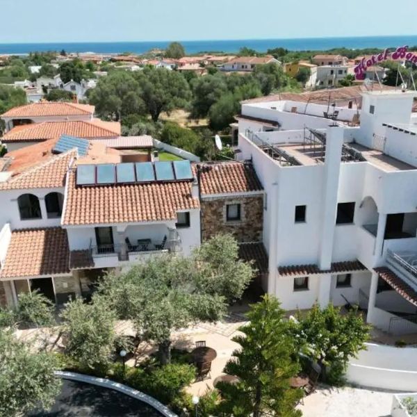 Bonsai (San Teodoro)