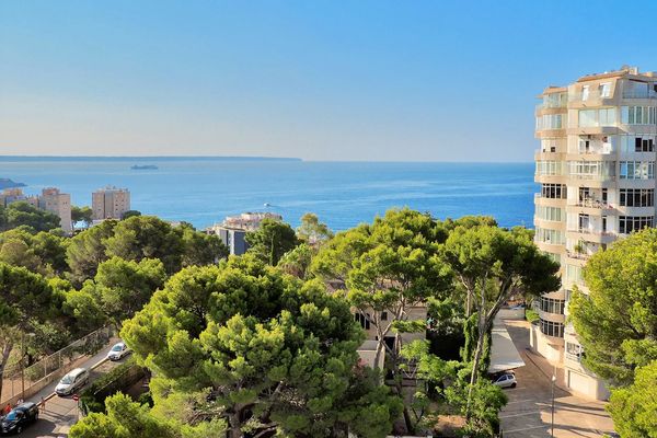 BQ Belvedere (ex. Belvedere)