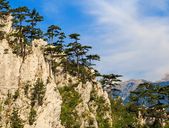 Bułgaria i Rumunia - Siedmiogród i Góry Bałkan