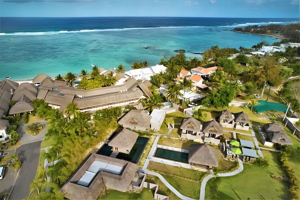 C Mauritius Palmar