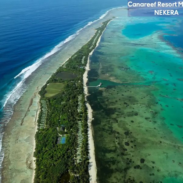 Canareef Resort