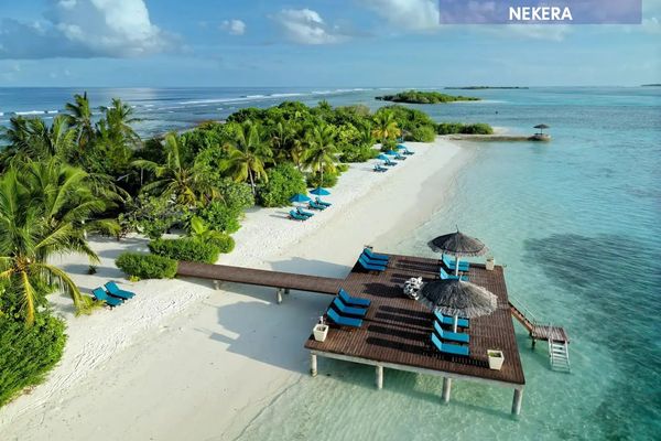 Canareef Resort