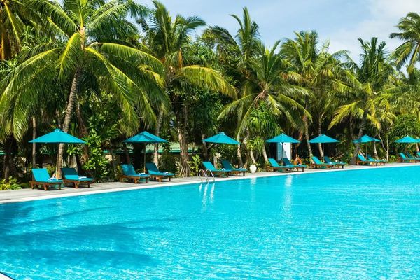 Canareef Resort