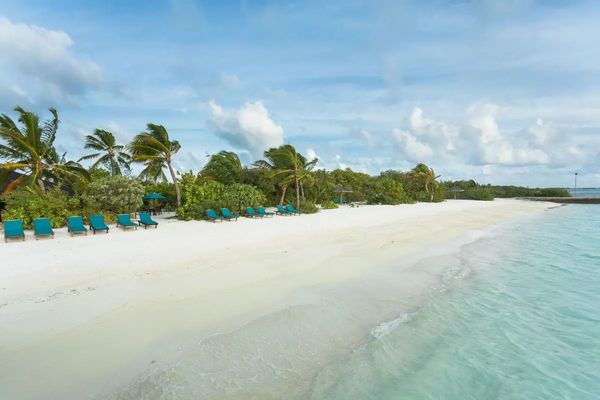 Canareef Resort