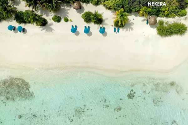 Canareef Resort