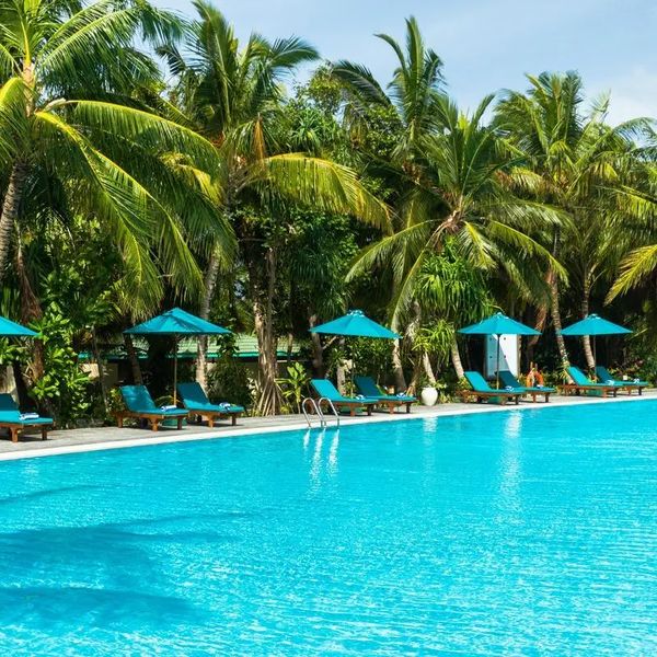 Canareef Resort – 2026-05-17 - Zdjęcie 2