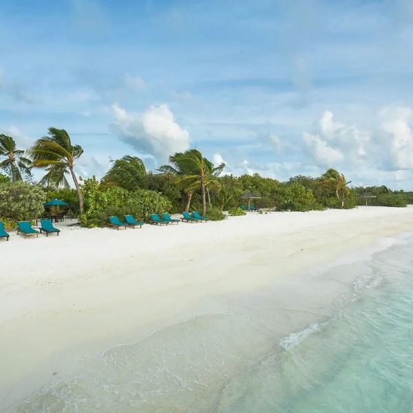 Canareef Resort – 2026-05-17 - Zdjęcie 3