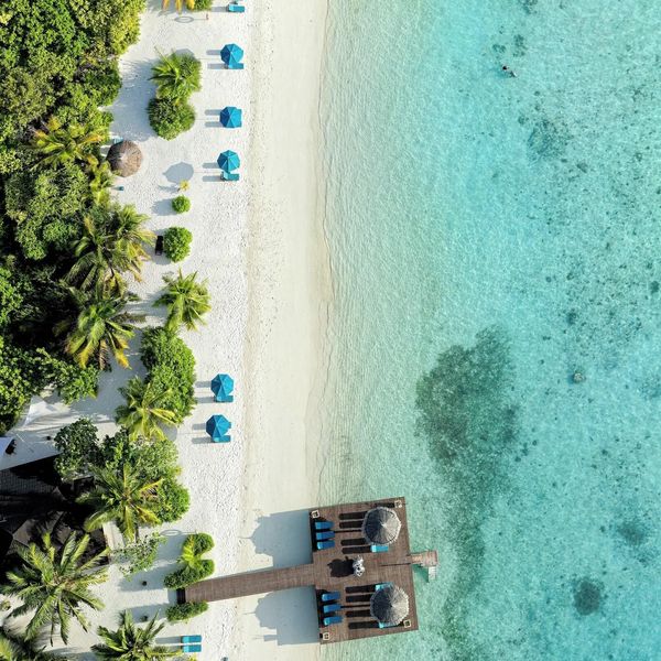 Canareef Resort – 2025-12-14