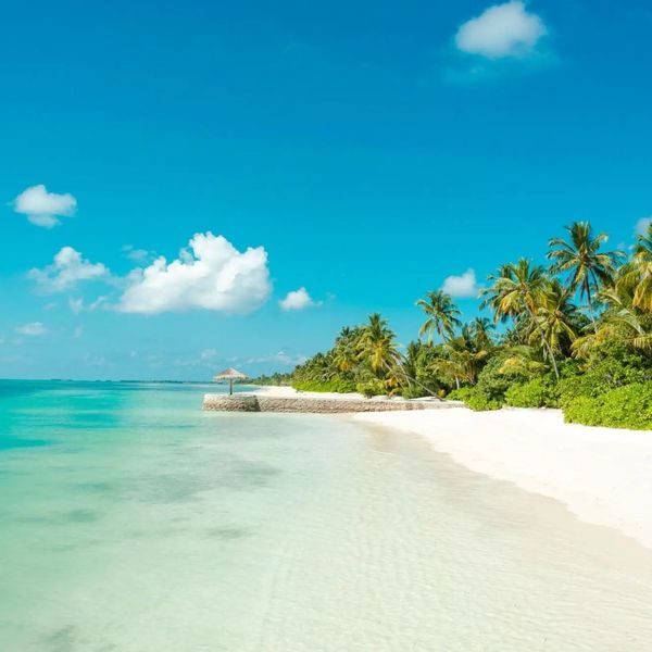 Canareef Resort – 2025-12-14 - Zdjęcie 2