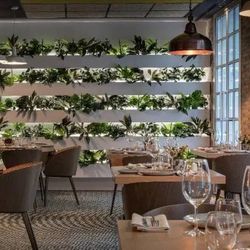 Catalonia Gran Via ex Gaudi